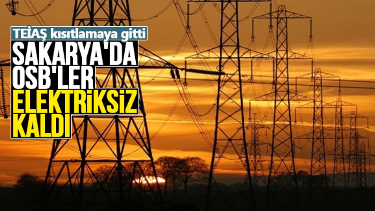 Sakarya'da OSB'ler elektriksiz kaldı