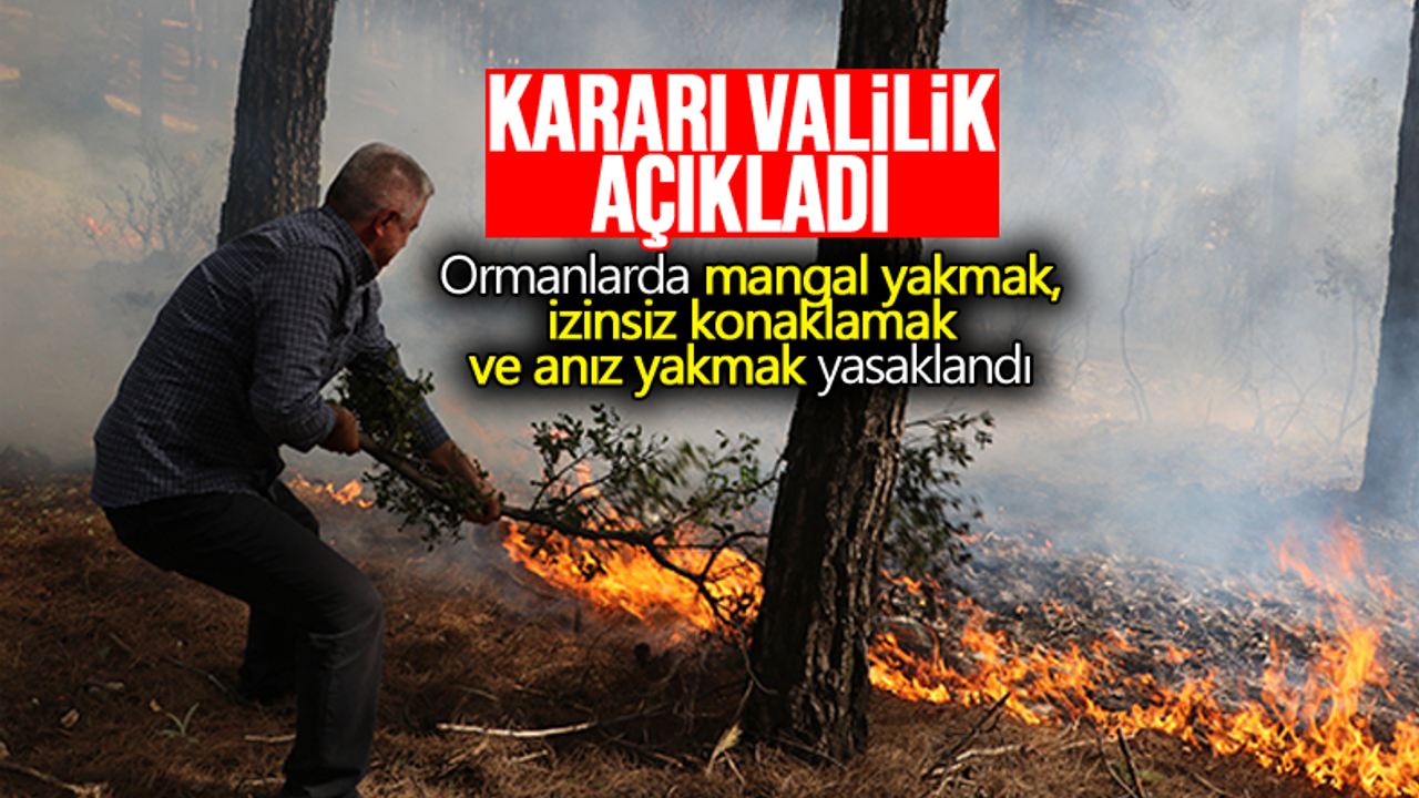 Ormanlık alanlarda ateş yakmak yasaklandı!