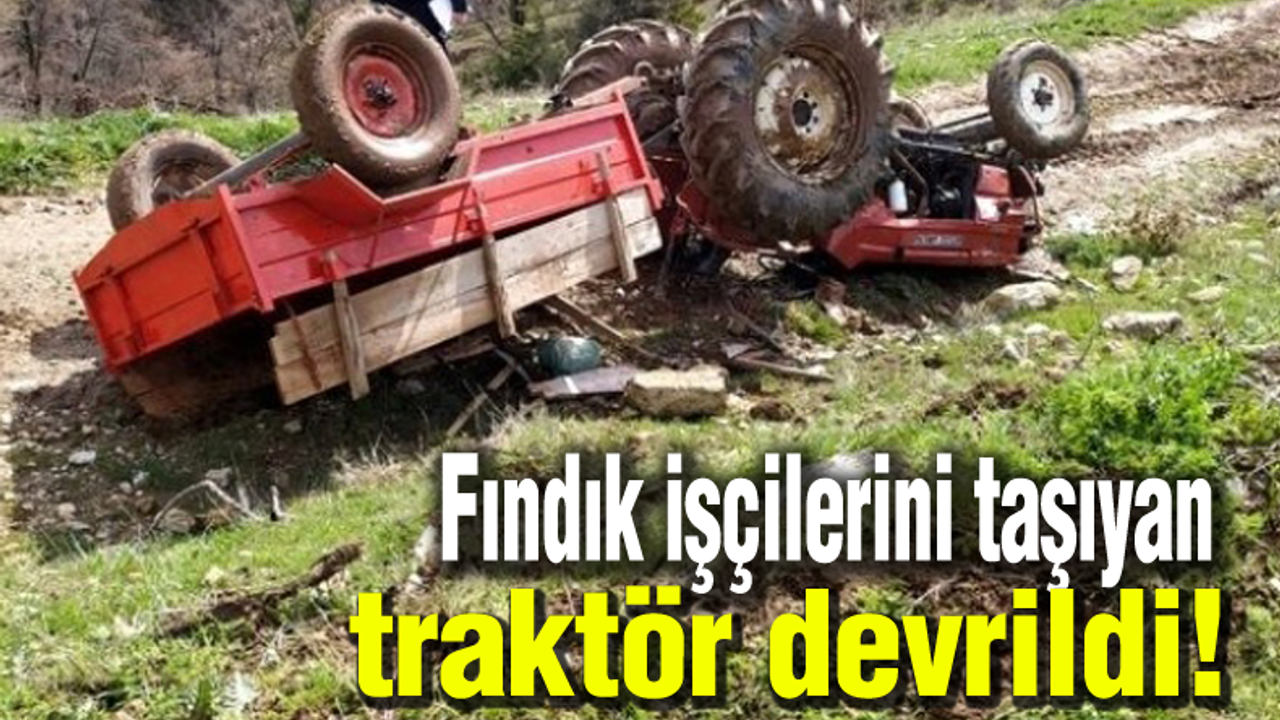 Fındık işçilerini taşıyan traktör devrildi!