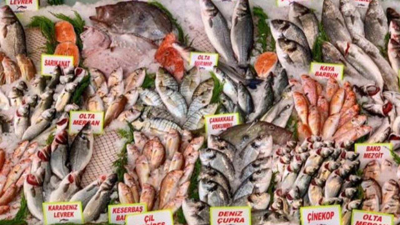 Tarım ÜFE'de balıkçılık Haziran'da arttı