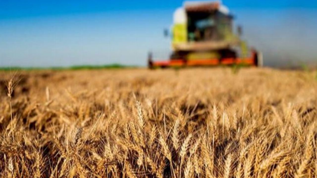 1,5 milyar TL'lik tarımsal destek hesaplara aktarılıyor