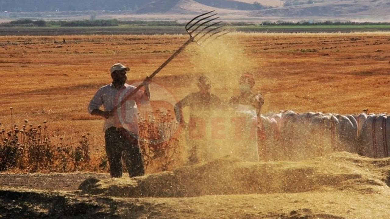 Tarım-ÜFE yıllık yüzde 62,56 arttı