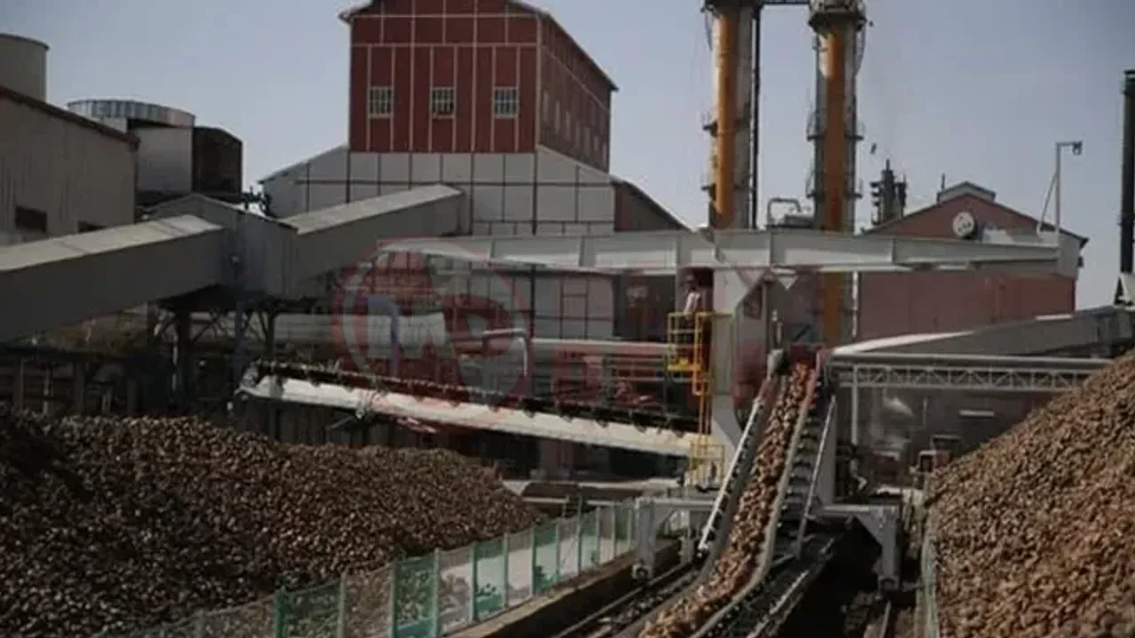 Türkiye Şeker Fabrikaları işçi alımı yapacak