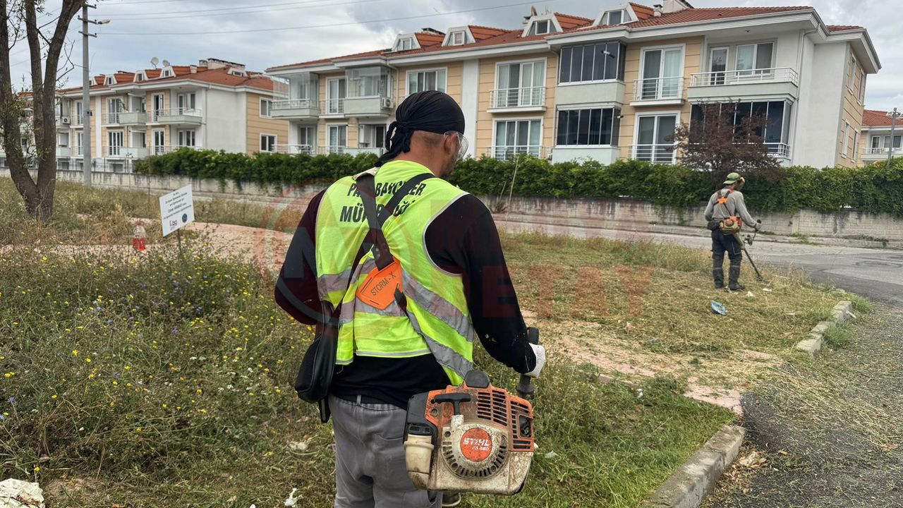 Estetik ve temiz sokaklar için yoğun mesai