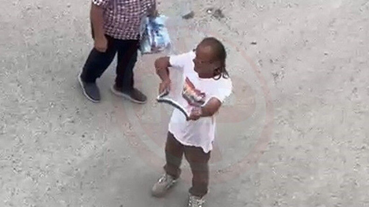 Paniğe sebep olan yılanı eliyle yakaladı!