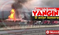 Palet fabrikasında yangın!