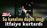 Su kanalına düşen ineği itfaiye kurtardı