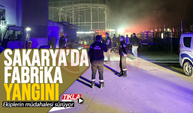 Sakarya'da fabrika yangını!