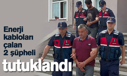 Enerji kabloları çalan 2 şüpheli tutuklandı