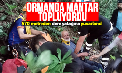 Mantar toplarken 570 metreden dere yatağına yuvarlandı