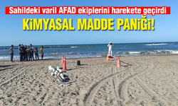 Sahilde kimyasal madde paniği!