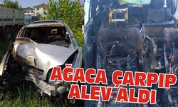 Ağaca çarpıp alev aldı