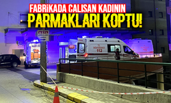 Fabrikada çalışan kadının parmakları koptu!