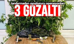 Jandarmadan uyuşturucu operasyonları: 3 gözaltı