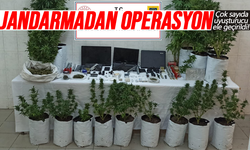 Jandarmadan operasyon: Çok sayıda uyuşturucu ele geçirildi!