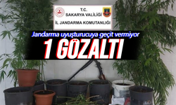 Jandarma uyuşturucuya geçit vermiyor