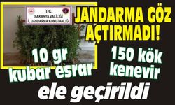 Jandarma göz açtırmadı