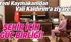 Kaymakam Kahraman’dan  Vali Kaldırım’a ziyaret