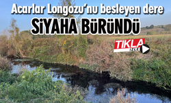 Acarlar Longozu’nu besleyen dere siyaha büründü