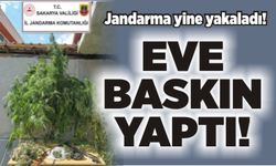 Jandarma yine yakaladı!