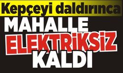 Kepçeyi daldırınca mahalle elektriksiz kaldı