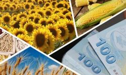 425 milyon liralık tarımsal destek hesaplarda!