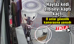 Haylaz kedi elbiseyi kaptı kaçtı