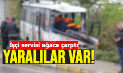 İşçi servisi ağaca çarptı: Yaralılar var!