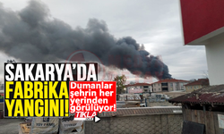 Sakarya'da korkutan fabrika yangını!