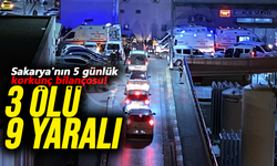 Sakarya'nın 5 günlük korkunç bilançosu!