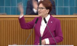 Akşener'den Erdoğan'a 'küfe' yanıtı