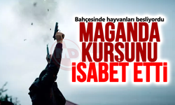 Hayvanları beslerken maganda kurşunu isabet etti!