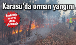 Karasu'da orman yangını!