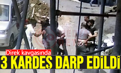 Direk kavgasında 3 kardeş darp edildi