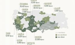 243 bin depremzede öğrencinin nakli yapıldı