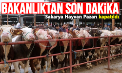 Sakarya Hayvan Pazarı şap önlemi nedeniyle kapatıldı!