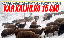 Sakarya’nın yüksek kesimlerde kar yağışı etkili oluyor!