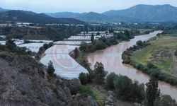 Sakarya nehri kahverengi akıyor!