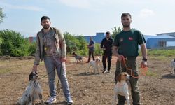 13. FERMALI AV KÖPEKLERİ MERA VE GÜZELLİK YARIŞMASI BAŞLIYOR