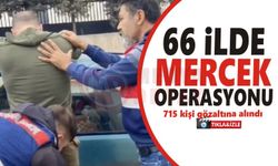Silah kaçakçılarına operasyon: 715 gözaltı
