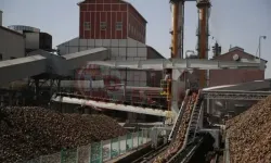 Türkiye Şeker Fabrikaları işçi alımı yapacak