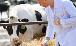 Tarımsal girdilerde veteriner harcamaları başı çekiyor