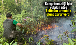 Bahçe temizliği için yakılan ateş 5 dönüm ormanlık alana zarar verdi