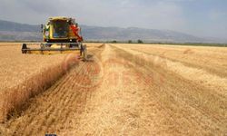 “Çiftçilerimiz buğday fiyatlarına çok tepki gösteriyor”