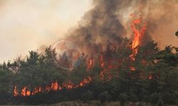 Türkiye'nin yangın risk haritası güncellendi