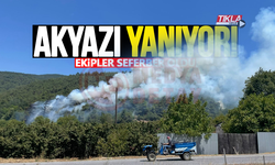 Akyazı'da orman yangını: Ekipler seferber oldu!