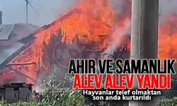 Ahır ve samanlık alev alev yandı