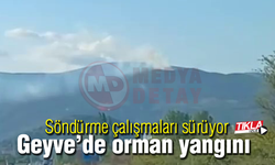 Geyve'de orman yangını