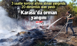 Karasu’da orman yangını!