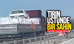 Tırın üstünde şahin görenler hayrete düştü